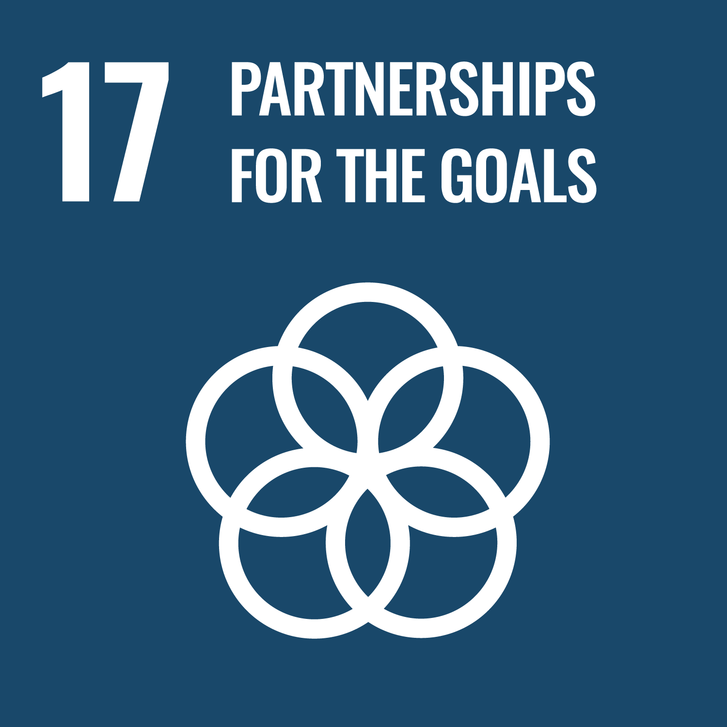 Partner 2
